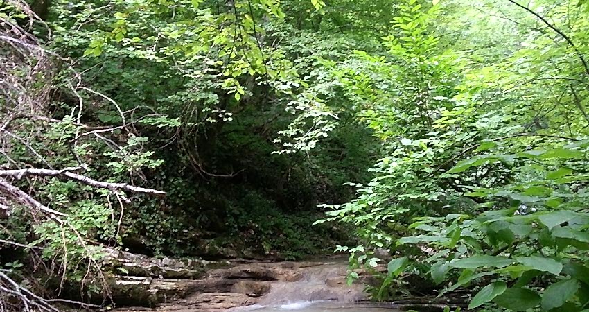 Doğu Karadeniz Yaylaları ve Batum Turu (Klasik Program)