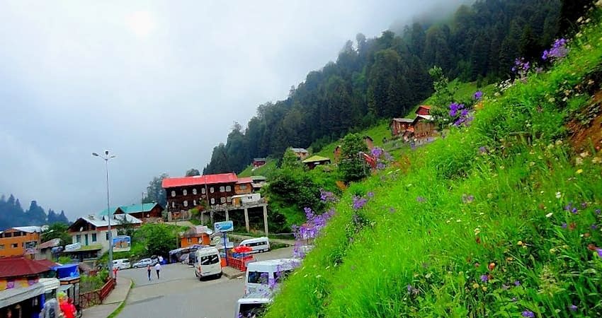 Doğu Karadeniz Yaylaları ve Batum Turu (Klasik Program)