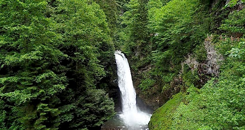 Doğu Karadeniz Yaylaları ve Batum Turu (Klasik Program)