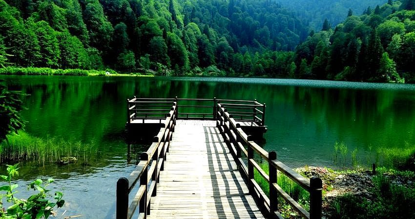 Doğu Karadeniz Yaylaları ve Batum Turu (Klasik Program)