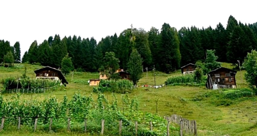 Doğu Karadeniz Yaylaları ve Batum Turu (Klasik Program)