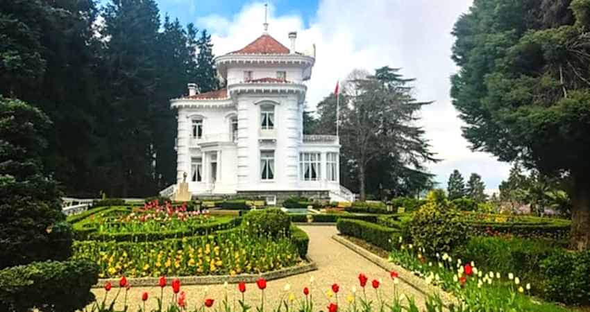 Doğu Karadeniz Yaylaları ve Batum Turu (Klasik Program)