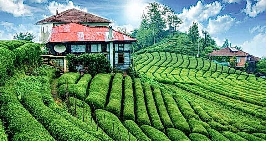 Doğu Karadeniz Batum Turu (Yeni Rota)